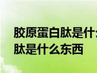 胶原蛋白肽是什么东西里面提炼的 胶原蛋白肽是什么东西 