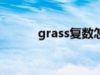 grass复数怎么读 grass的复数 