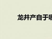 龙井产自于哪里 龙井是哪里产的 