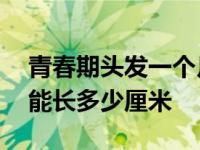 青春期头发一个月能长多少厘米 头发一个月能长多少厘米 