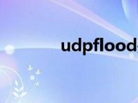 udpflood是什么 udpflood 