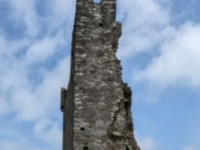 爱尔兰乡村的一座城堡以低价出售
