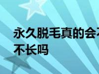 永久脱毛真的会不长吗男生 永久脱毛真的会不长吗 