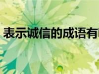 表示诚信的成语有哪些繁琐 表示诚信的成语 