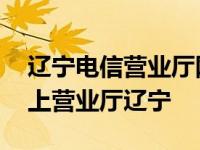 辽宁电信营业厅网上营业厅下载 中国电信网上营业厅辽宁 