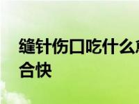 缝针伤口吃什么愈合快点 缝针伤口吃什么愈合快 