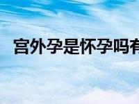 宫外孕是怀孕吗有孩子吗 宫外孕是怀孕吗 