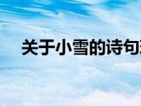 关于小雪的诗句现代诗 关于小雪的诗句 