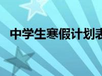 中学生寒假计划表模板 中学生寒假计划表 