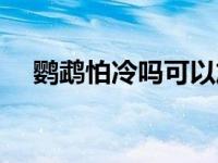 鹦鹉怕冷吗可以放在外面吗 鹦鹉怕冷吗 