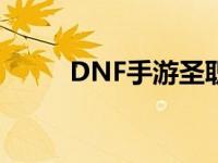 DNF手游圣职者加点 圣职者加点 