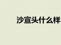 沙宣头什么样 沙宣头适合什么脸型 