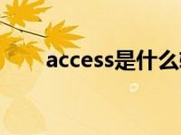 access是什么软件 access什么意思 