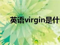 英语virgin是什么意思 virgin什么意思 