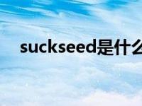 suckseed是什么意思 sucks是什么意思 