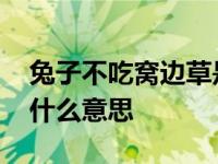 兔子不吃窝边草是什么道理 兔子不吃窝边草什么意思 