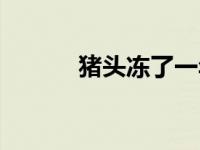 猪头冻了一年还能吃吗 猪头冻 