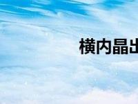 横内晶出生日期 横内晶 