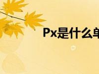 Px是什么单位 px是什么单位 