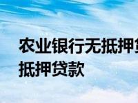 农业银行无抵押贷款要什么条件 农业银行无抵押贷款 