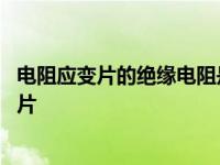 电阻应变片的绝缘电阻是指已粘贴的应变片的引线 电阻应变片 