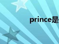 prince是什么意思 prince 