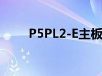 P5PL2-E主板最大支持内存 p5pl2 