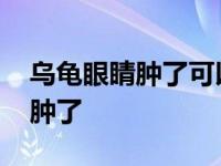 乌龟眼睛肿了可以涂红霉素软膏吗 乌龟眼睛肿了 