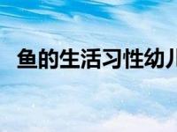 鱼的生活习性幼儿动画视频 鱼的生活习性 