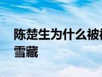 陈楚生为什么被被雪藏住 陈楚生为什么被被雪藏 