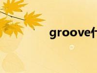 groove什么意思 groove 