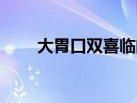 大胃口双喜临门是什么数字 大胃口 