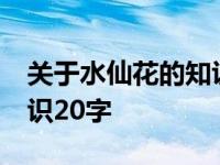 关于水仙花的知识20字以内 关于水仙花的知识20字 