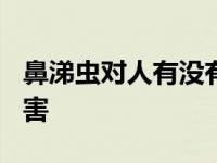 鼻涕虫对人有没有危害? 鼻涕虫对人有没有危害 