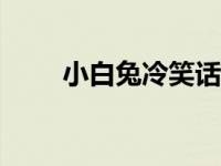 小白兔冷笑话100个 小白兔冷笑话 