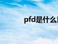 pfd是什么意思 pf是什么意思 