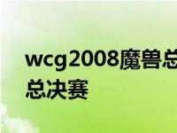 wcg2008魔兽总决赛第三场 wcg2008世界总决赛 