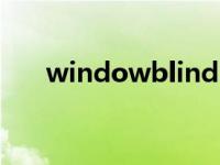 windowblinds密钥 windowblinds 