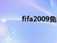 fifa2009免安装下载 fifa2009 