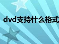 dvd支持什么格式的usb dvd支持什么格式 