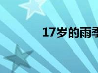 17岁的雨季歌词 17岁的雨季 