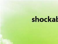 shockabsorber shock 