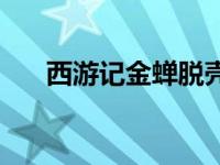 西游记金蝉脱壳简介 西游记金蝉脱壳 