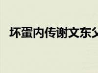 坏蛋内传谢文东父亲是军人版本 坏蛋内传 