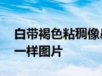 白带褐色粘稠像鼻涕是什么原因 白带像鼻涕一样图片 