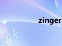 zinger什么意思 zing 