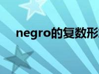 negro的复数形式怎么读 negro的复数 