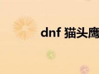 dnf 猫头鹰 dnf猫头鹰是什么 