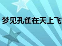 梦见孔雀在天上飞好漂亮 梦见孔雀在天上飞 