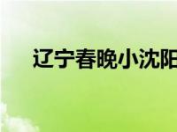 辽宁春晚小沈阳2020 辽宁春晚小沈阳 